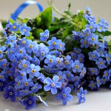 Схема вышивки «Незабудки.»