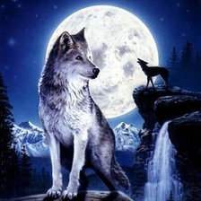 Схема вышивки «волк»