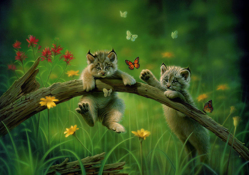 котята - котята - оригинал