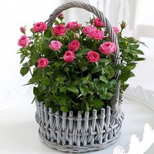 Схема вышивки «Корзина роз»