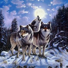 Схема вышивки «Волчья стая»