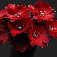 Схема вышивки «Цветы»