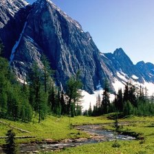 Схема вышивки «Природа»