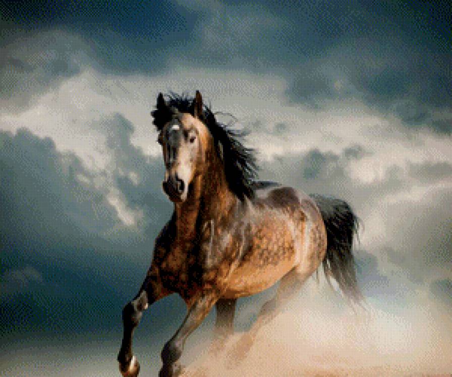 лошадка - лошади, животные - предпросмотр