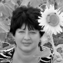 Схема вышивки «122»