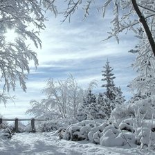 Схема вышивки «зима»