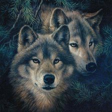 Схема вышивки «Пара волков»