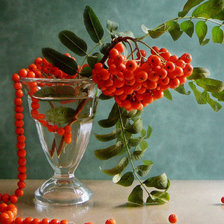 Схема вышивки «рябина»