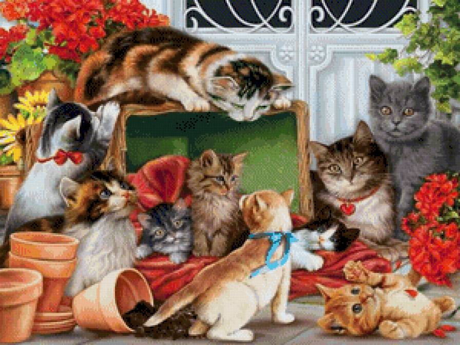 gattini 1 - предпросмотр