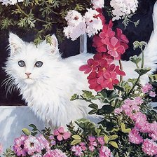 Схема вышивки «белая кошка»