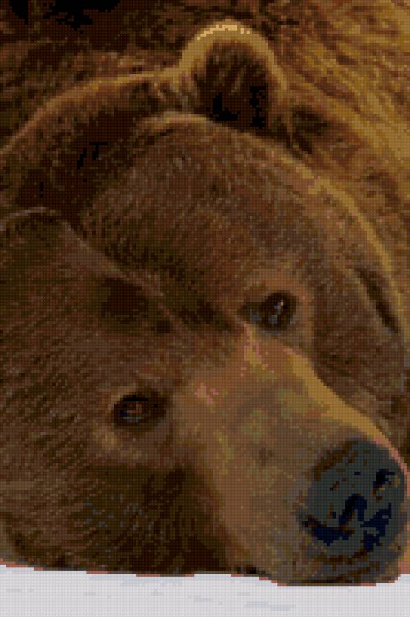 миша - предпросмотр