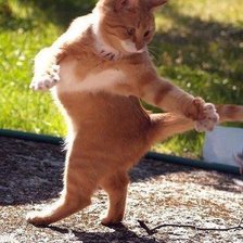 Схема вышивки «танцы»