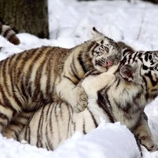 Схема вышивки «№1073350»