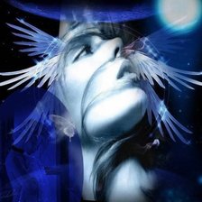 Схема вышивки «синяя птица»