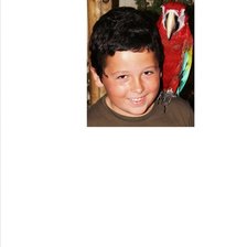 Схема вышивки «345»