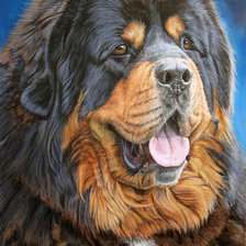 Схема вышивки «собака»