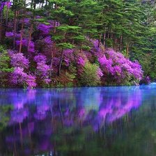 Схема вышивки «цветущий багульник»