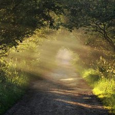 Схема вышивки «тропинка в лесу»
