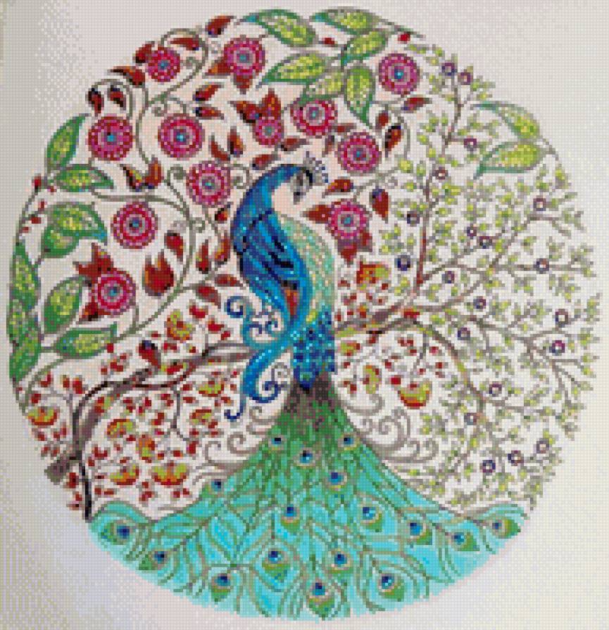 Павлин - павлин - предпросмотр