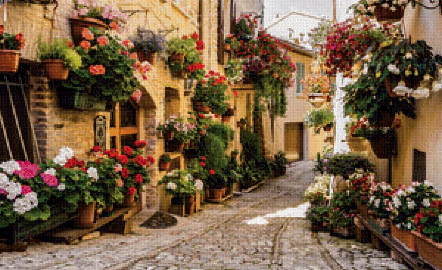 Улица в цвету - деревья, улица, дома - предпросмотр