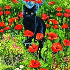 Схема вышивки «киса»