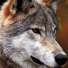 Схема вышивки «ла»