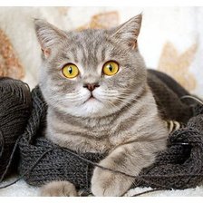 Схема вышивки «№1074992»