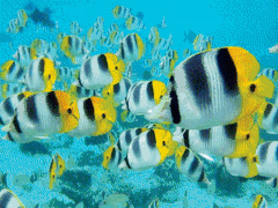 Подводный мир. - предпросмотр