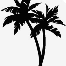 Palm tree