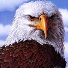 Схема вышивки «Птица»