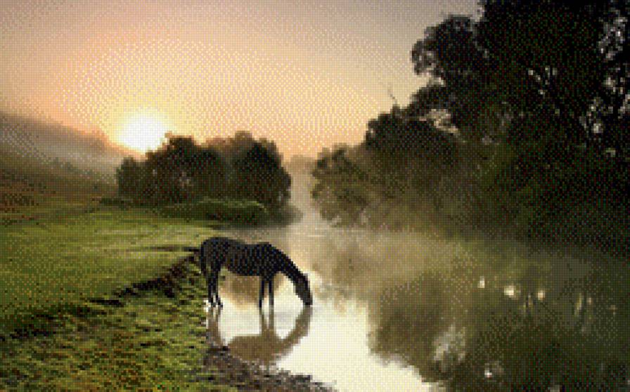 летнее утро - лето, утро, лошадь - предпросмотр