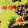 Предпросмотр схемы вышивки «№1076724»