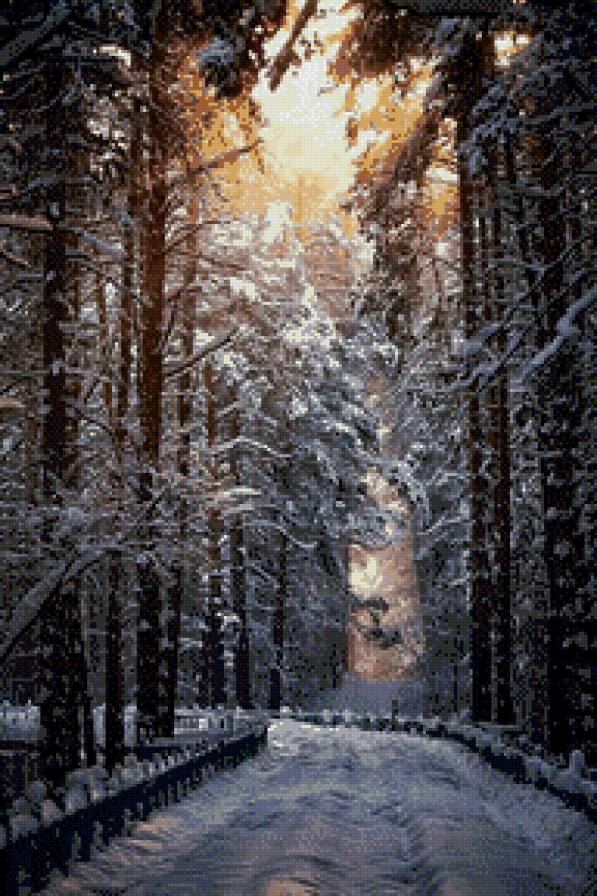 Зимняя дорога. - сосны, солнце, зима, дорога, лес, снег, сказка - предпросмотр