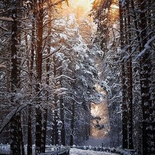 Схема вышивки «Зимняя дорога.»