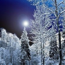 Схема вышивки «Лунная ночь.»