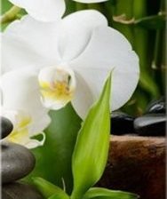 Схема вышивки «триптих орхидея_ч.3»