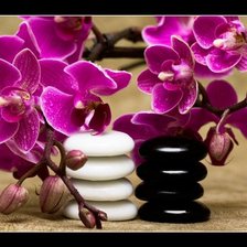 Схема вышивки «орхидея»