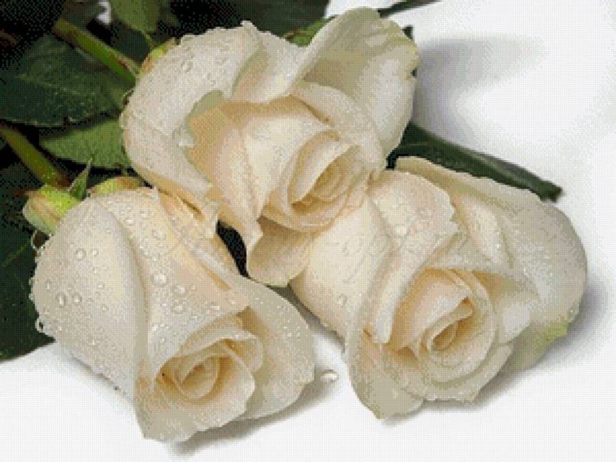 №1077702 - предпросмотр