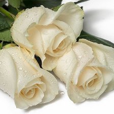 Схема вышивки «№1077702»