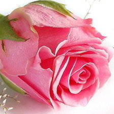 Схема вышивки «№1077705»