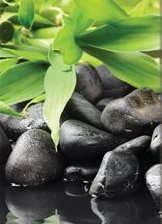 Схема вышивки «полиптех_цветок на камне _ ч.4»