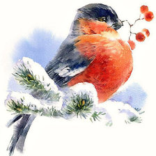 Схема вышивки «Снегирь»