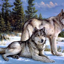 Схема вышивки «волки»