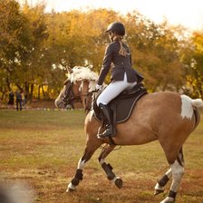 Схема вышивки «Конный спорт»