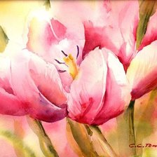 Схема вышивки «Цветочные акварели от Connie Towns»