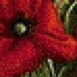 Предпросмотр схемы вышивки «маки» (№1078478)