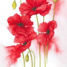 Схема вышивки «Poppy 2»