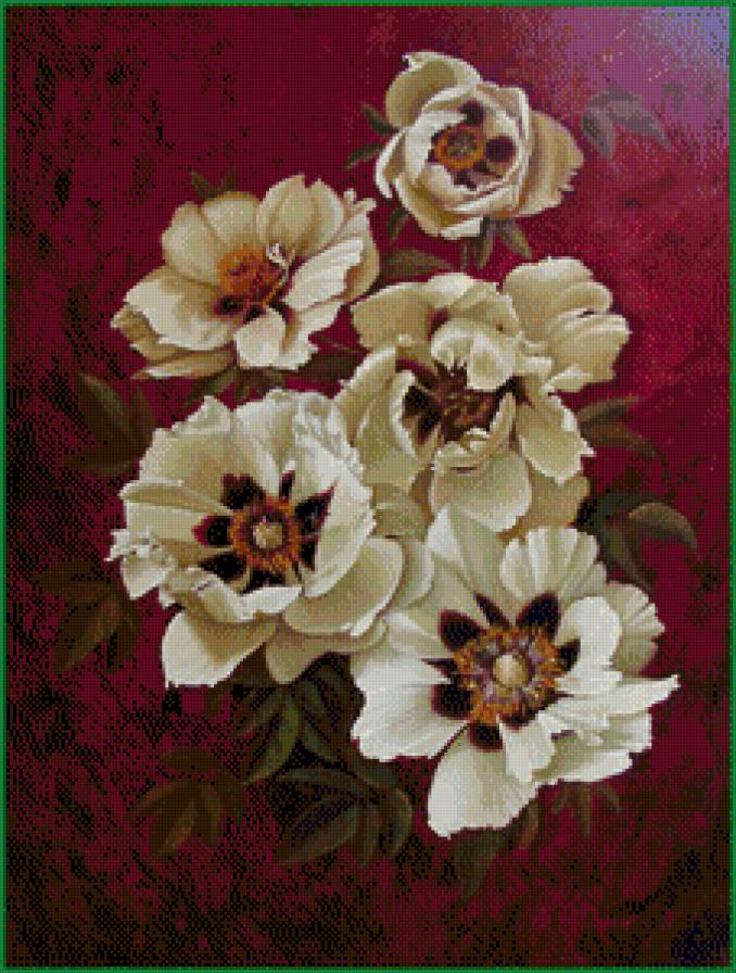 анемоны - цветы, анемоны, весенние цвети - предпросмотр