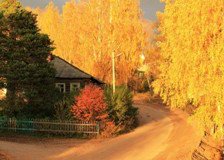 Схема вышивки «Золото осени»