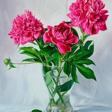 Схема вышивки «пионы 2 . для себя.»